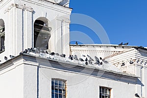 doves on roof of old church in Suzdal town