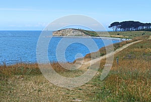 Dovnsklint coastal view, Langeland, Denmark