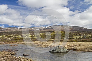 In Dovrefjell