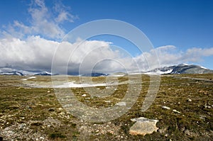 Dovrefjell National Park