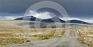 Dovrefjell National Park