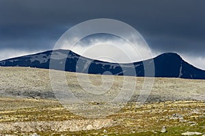 Dovrefjell National Park