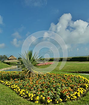 Down by the flowers at Great Yarmouth waterways