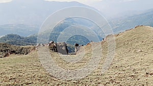 Down hill of Maiyung danda  Bhojpur Eastern Nepal