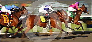 Down the Homestretch