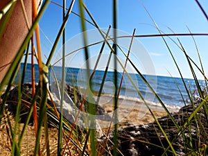 Down by Lake Michigan shoreline