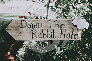 Down the rabbit hole sign photo