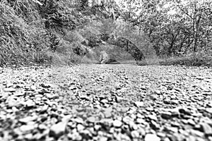 Down towards the stone path