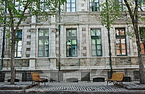 Down town old building with trees