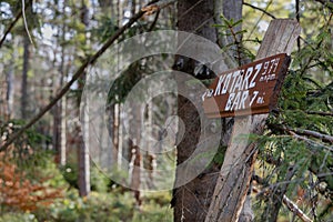 Downed signpost in the forest