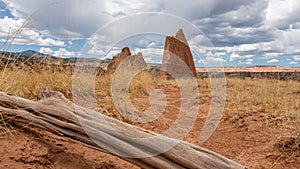 Downed Tree Trunk Blocks Trail to Cathedral Valley