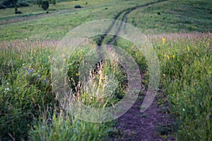 Downhill country dirt road winding in tall grass in Altai Mountains, Kazakhstan, at dusk