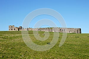 Downhill Demesne