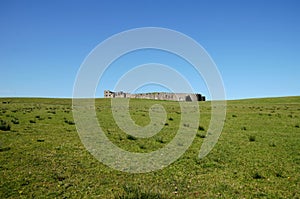 Downhill Demesne