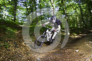 Downhill mountain bikers photo