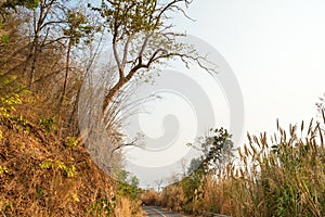The downhill road photo
