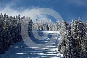 Downhill skiing, going fast down the mountain, winter sport