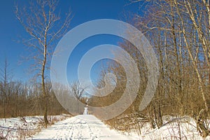 Downhill snowy trail passing through Winter landscape