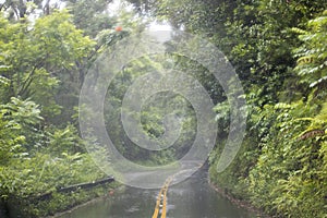 Downpour Rain on Road in Maui Hawaii Storm