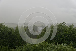 Downpour with wind in thunderstorm over village