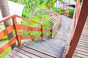 Downstair bridge walking path made to the garden