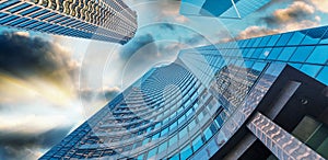 Downtown buildings, skyward view