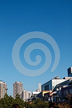 Downtown centre in Tokyo city. View from public park. Tokyo`s Skyline