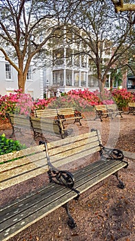 Downtown Charleston SC Waterfront Park