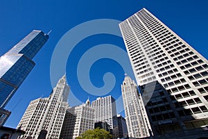 Downtown Chicago Modern and Old Buildings Cityscape