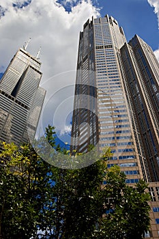 Downtown Chicago Skyscrapers