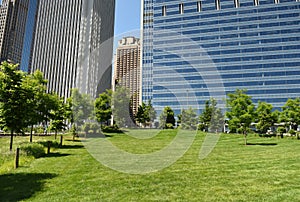 Downtown Chicago view from Grant park