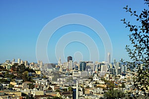 Downtown city with many buildings and sky scrapers in the historic districts of San Francisco California with front yard