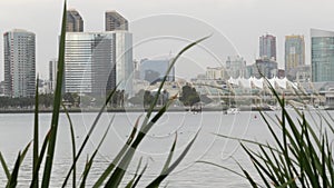 Downtown city skyline, San Diego cityscape, USA. Highrise skyscrapers by harbor.