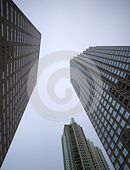 Downtown of the city, USA. Skyscrapers and sky.
