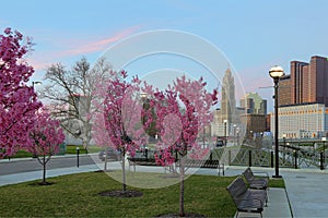 Downtown Columbus, Ohio with blooming Red Buds