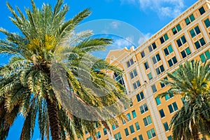 Downtown Coral Gables