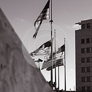 Downtown Detroit American Flags