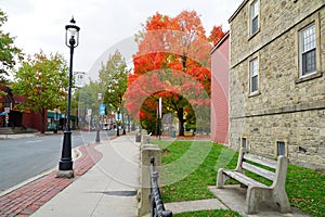 Downtown Fredericton