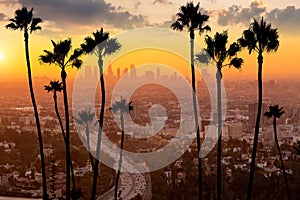 Downtown Los Angeles city skyline, cityscape of LA photo