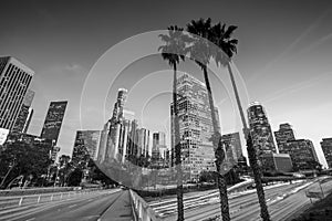 Downtown Los Angeles skyline during rush hour