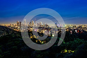 downtown los at night from the top of a hill of treetops