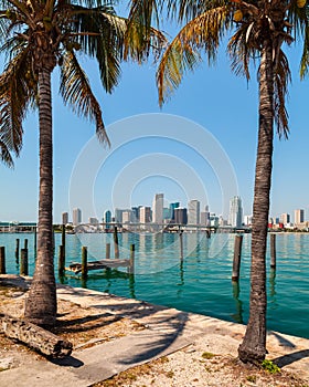 Downtown Miami Skyline