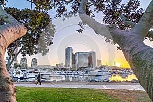 Downtown San Diego skyline in California, USA