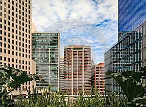 Downtown skyscraper with green grass, SOMA neighborhood San Francisco California photo