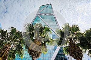 Downtown skyscraper with palm trees, SOMA neighborhood, San Francisco California photo