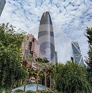 Downtown skyscrapers and trees in a park in SOMA, San Francisco, California