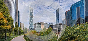 Downtown skyscrapers, trees and a path, park in SOMA, San Franci