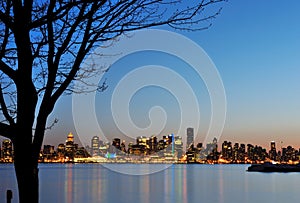 Downtown Vancouver Night Scene