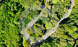 Downward aerial view of a beautful windy road across a forest