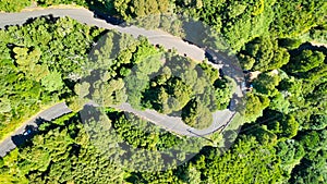 Downward aerial view of a beautful windy road across a forest